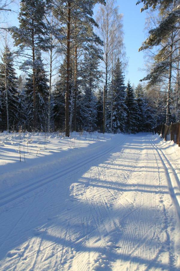 Pankkotupa 16-B Villa Punkaharju Exterior photo